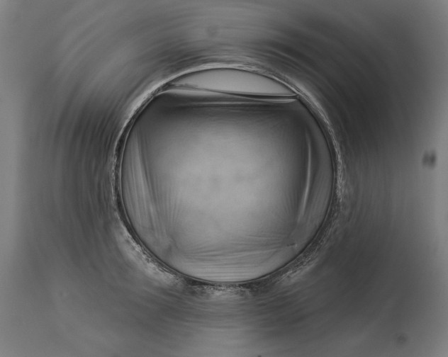 X0000114530899200911091108