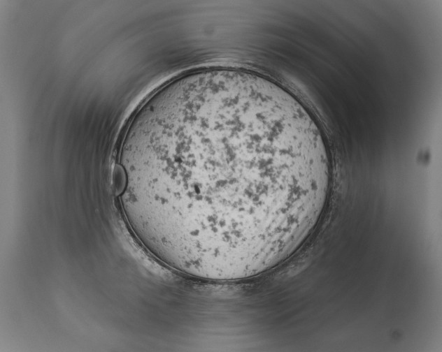 X0000114530900200911091108