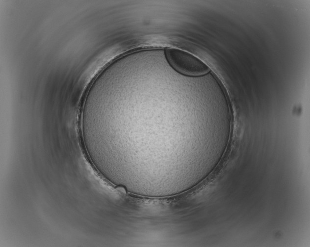X0000114530901200911091108