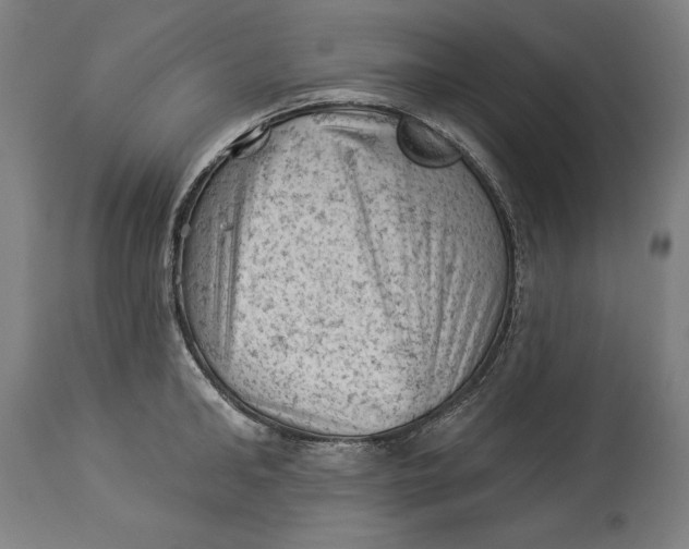 X0000114530902200911091108
