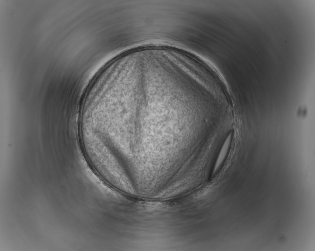 X0000114530903200911091108