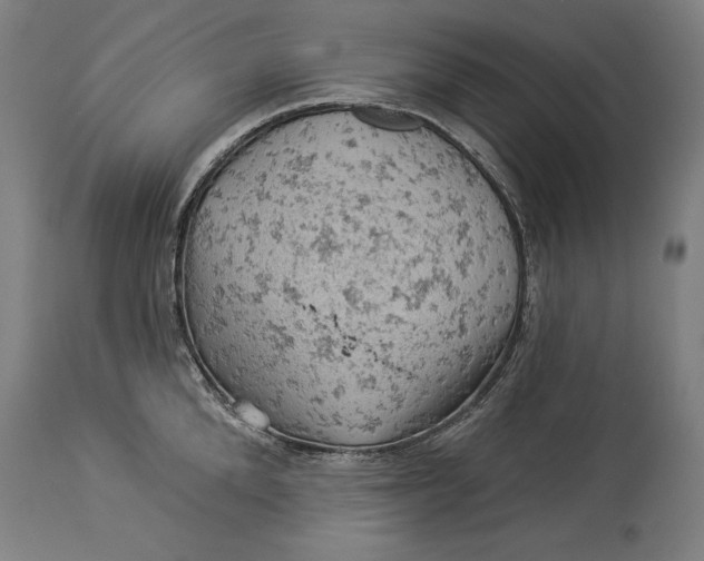 X0000114530904200911091108