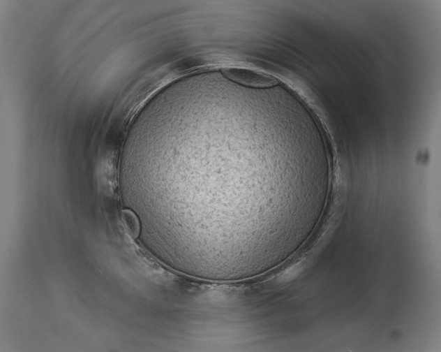 X0000114530905200911091108