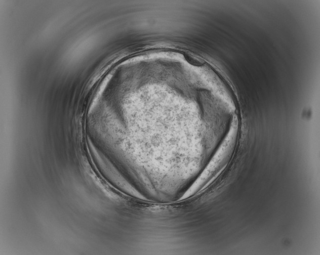 X0000114530906200911091108
