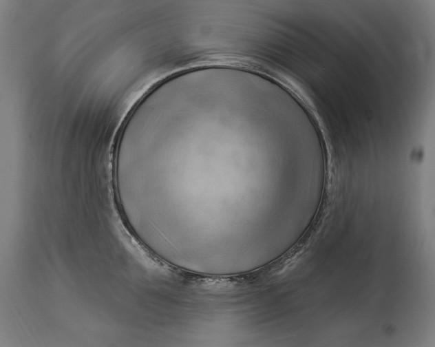 X0000114530907200911091108