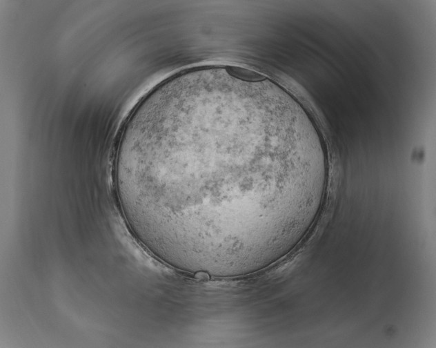 X0000114530908200911091108