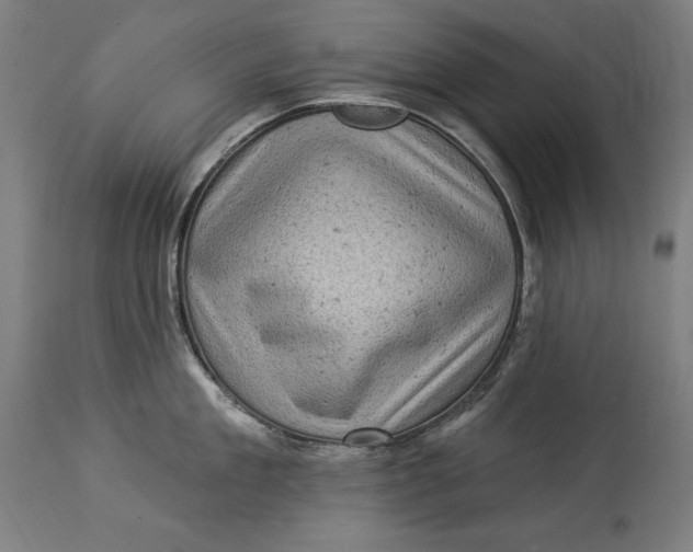 X0000114530909200911091108