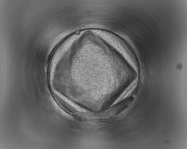X0000114530910200911091108