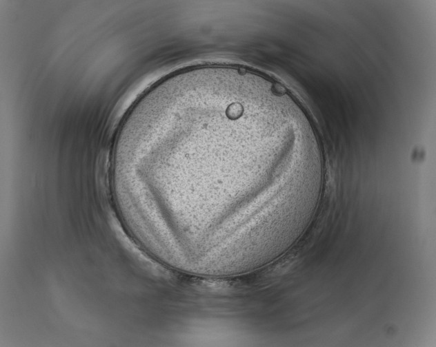X0000114530911200911091108
