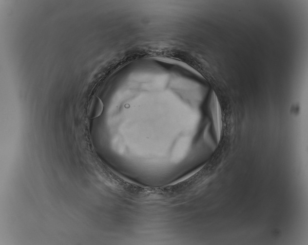 X0000114530913200911091107