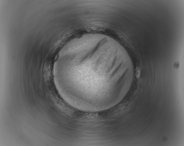 X0000114530915200911091107