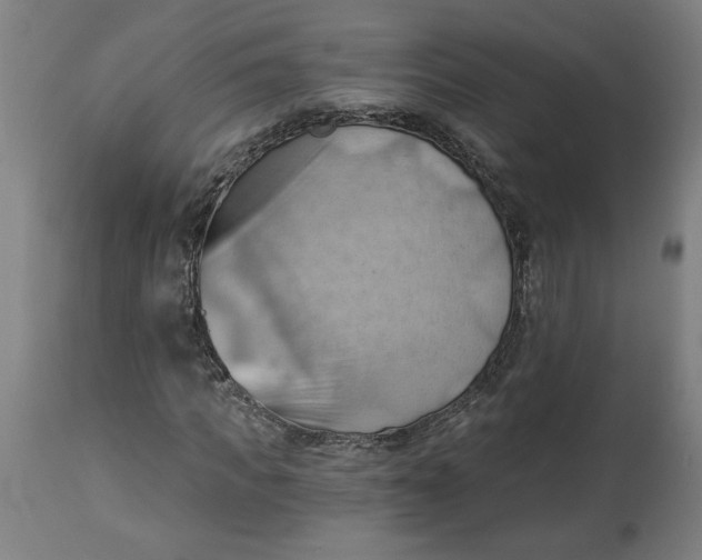 X0000114530917200911091107