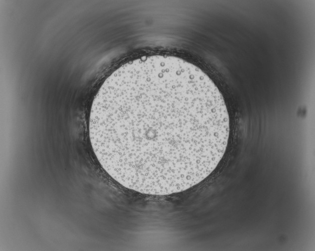 X0000114530918200911091107