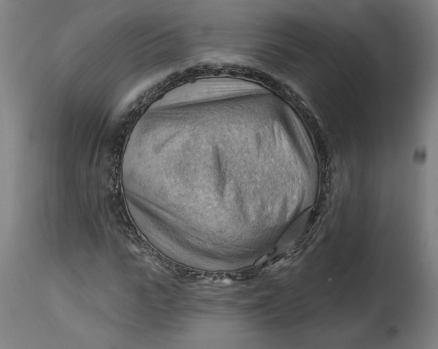 X0000114530919200911091107