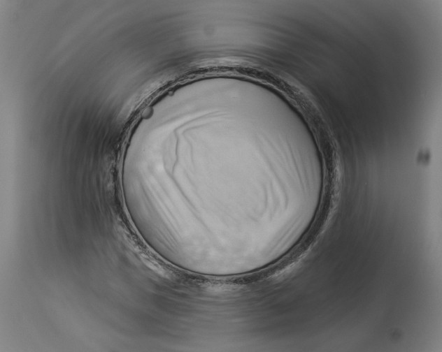 X0000114530921200911091107