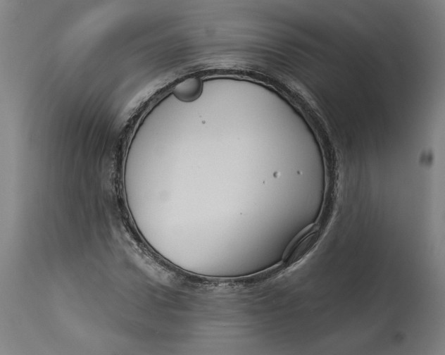 X0000114530922200911091107