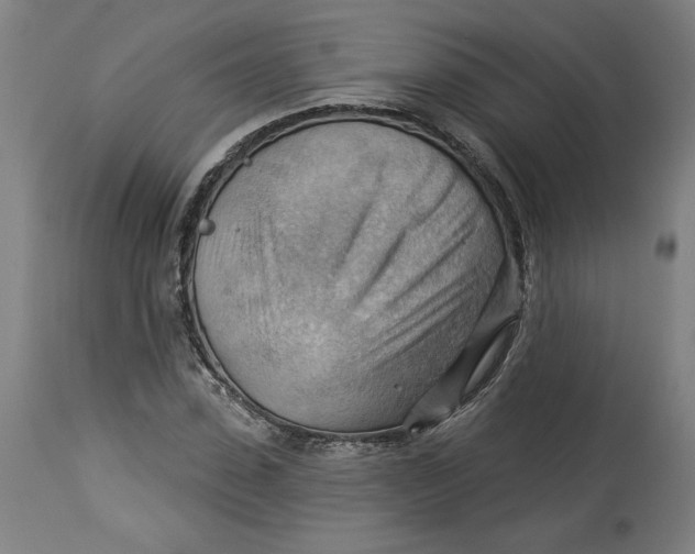 X0000114530923200911091107