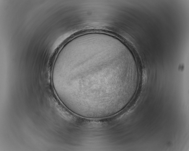 X0000114530925200911091107