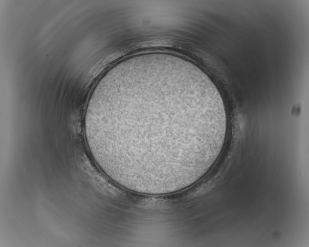 X0000114530929200911091107