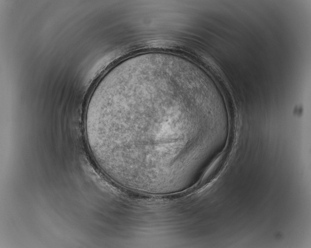 X0000114530930200911091107