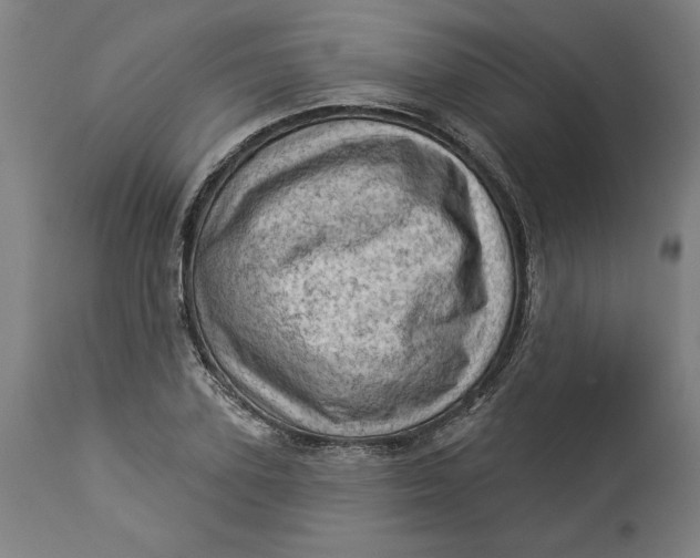 X0000114530931200911091107