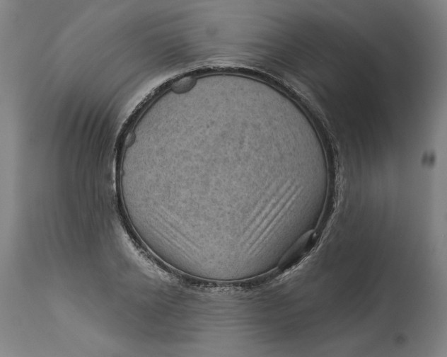 X0000114530934200911091107