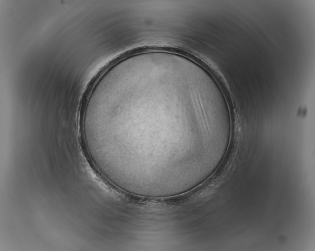 X0000114530935200911091107
