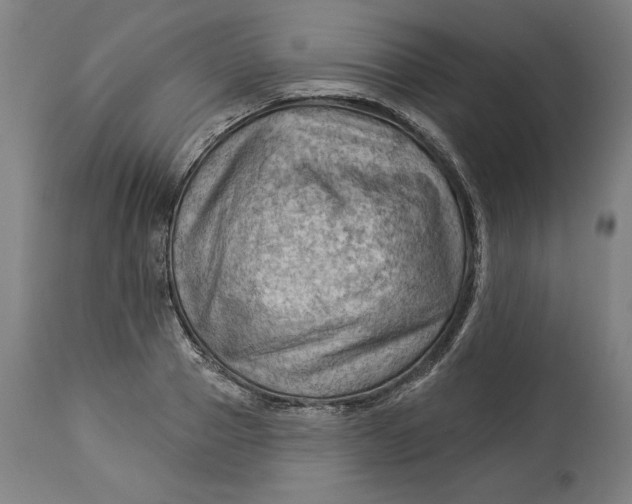 X0000114530937200911091107