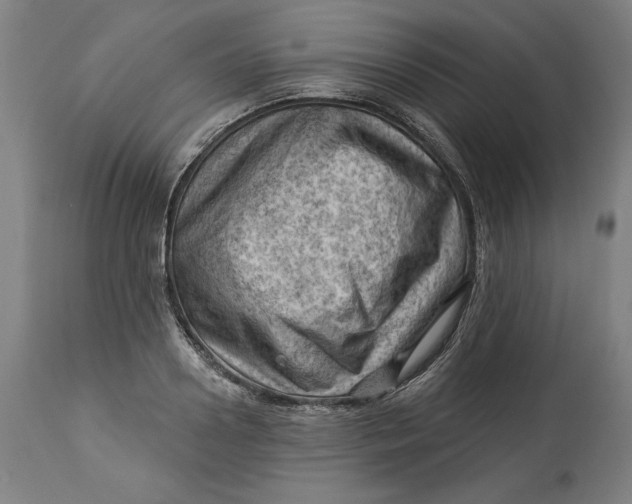 X0000114530938200911091107