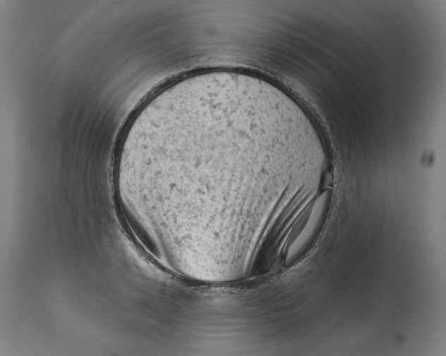 X0000114530942200911091107