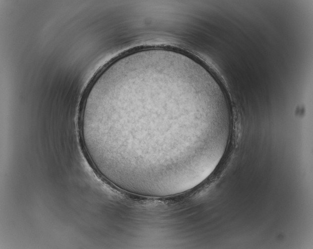 X0000114530943200911091107