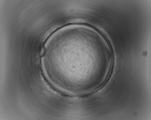 X0000114530945200911091107