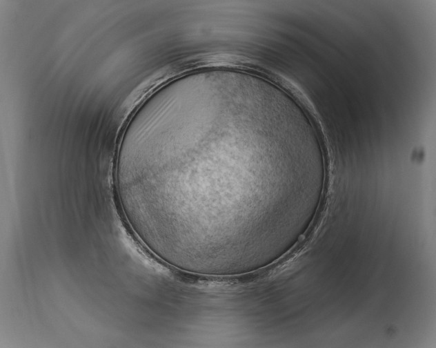 X0000114530946200911091107