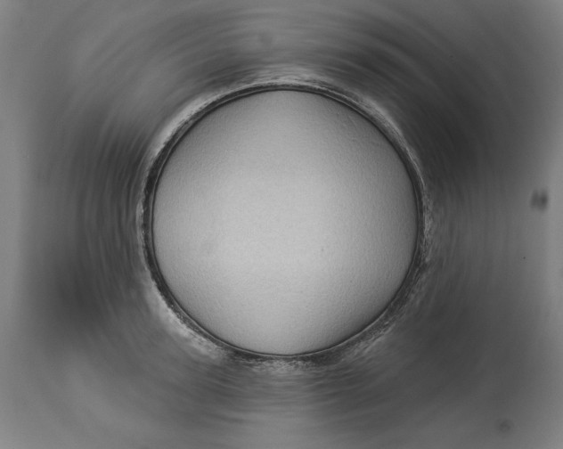 X0000114530947200911091107