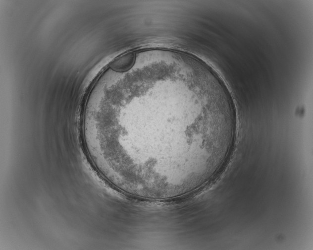 X0000114530949200911091108