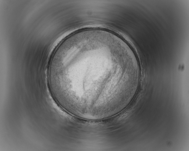 X0000114530951200911091108