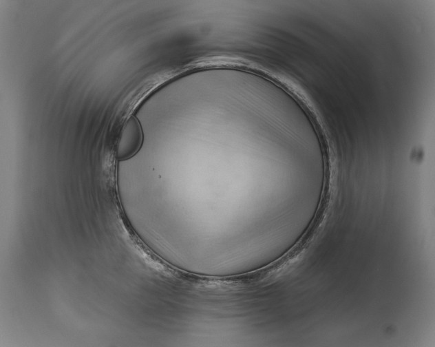 X0000114530953200911091108