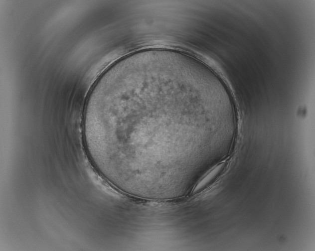 X0000114530954200911091108