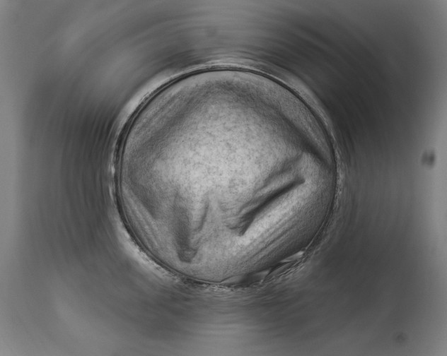 X0000114530955200911091108