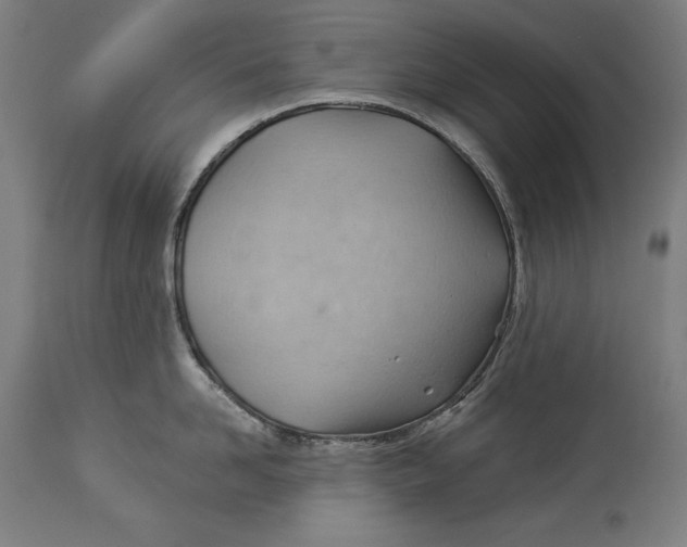X0000114530958200911091108