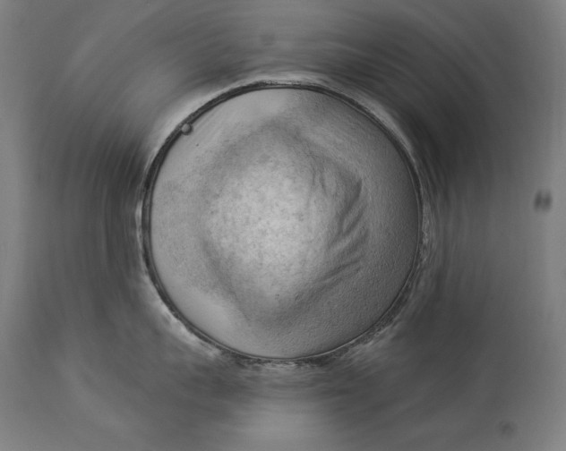 X0000114530959200911091108