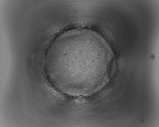 X0000114530961200911091107