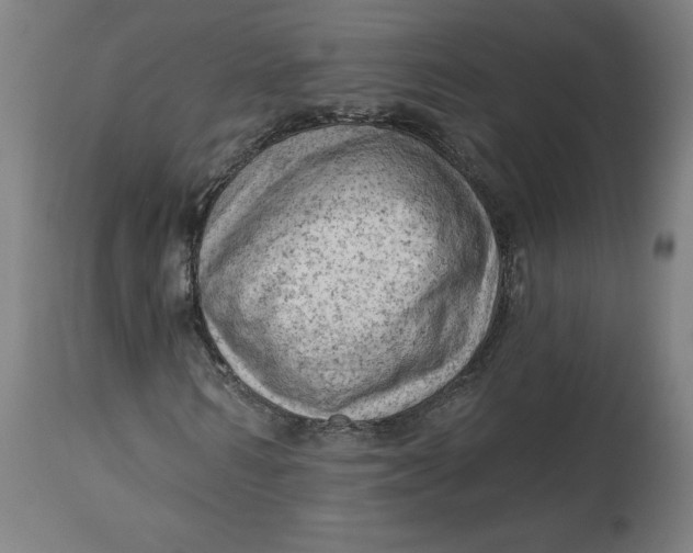 X0000114530962200911091107