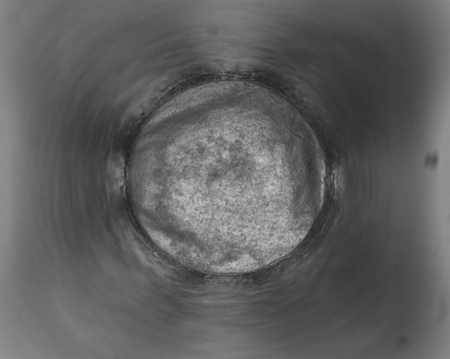 X0000114530963200911091107