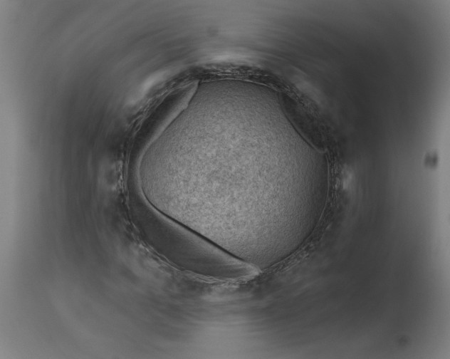 X0000114530965200911091107