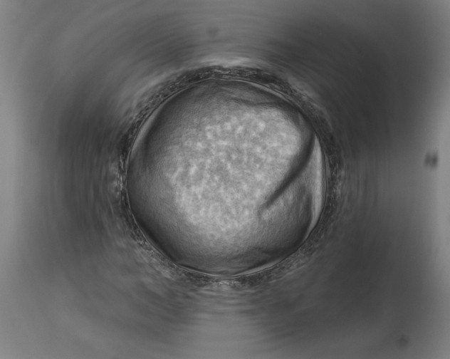 X0000114530966200911091107