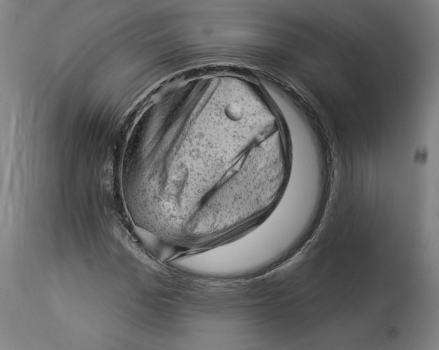 X0000114530969200911091107