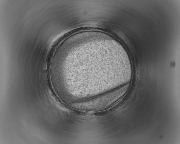 X0000114530971200911091107