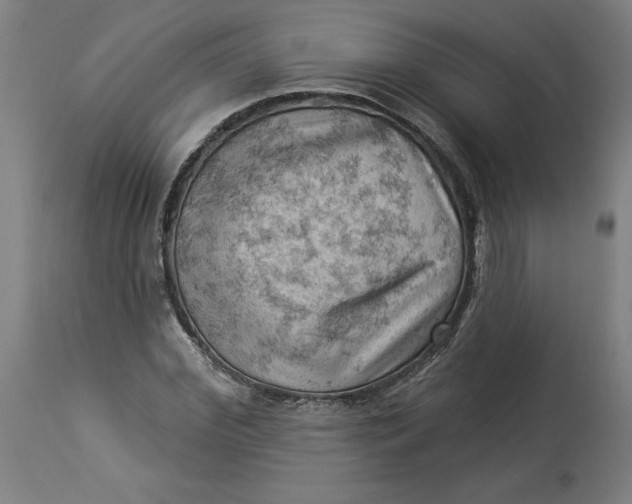 X0000114530972200911091107