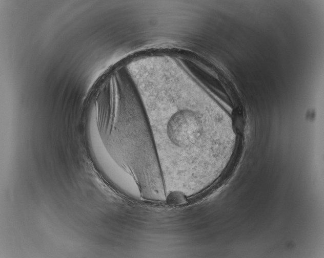 X0000114530973200911091107